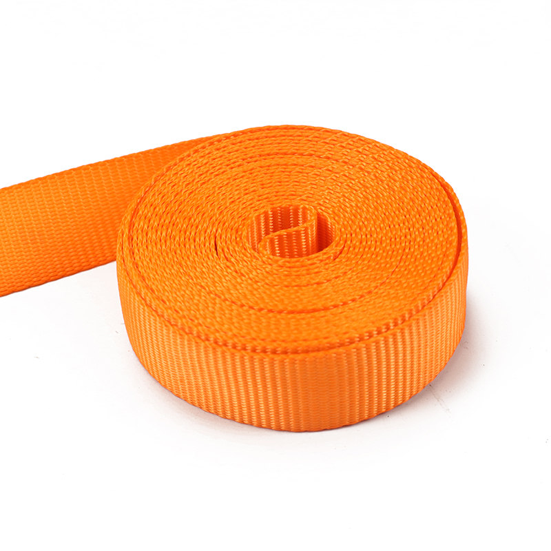 Paski zapadkowe z podwójnym hakiem 25 mm w kształcie litery J (model BT-TDS-023)